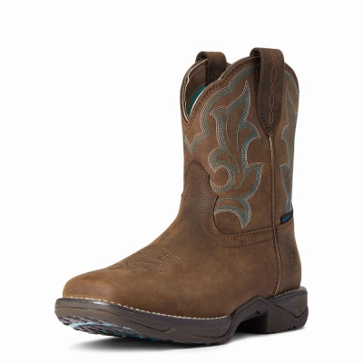 Brown Ariat Anthem II Waterproof Women's Waterproof Boots | DOSW37421