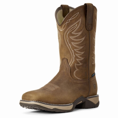 Brown Ariat Anthem Waterproof Women's Western Boots | ZFQJ58413