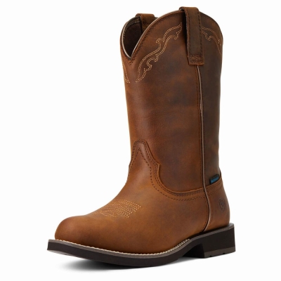 Brown Ariat Delilah Round Toe Waterproof Women's Western Boots | GZIC30487