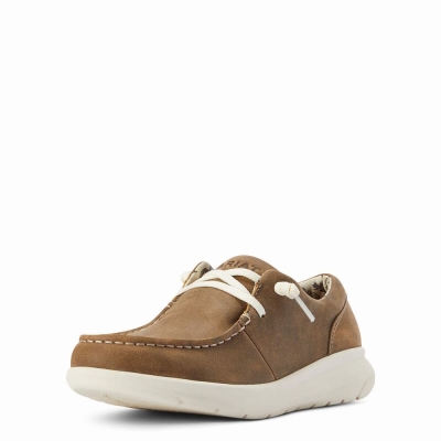 Brown Ariat Hilo Women's Sneakers | OHIW19360