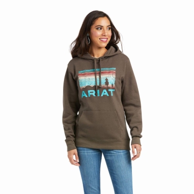 Brown Ariat REAL Arm Logo Women's Hoodies | VCLD90531