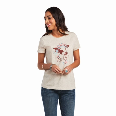 Brown Ariat REAL Moo Women's Tops | HVZK90832