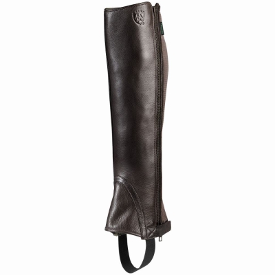 Chocolate Ariat Breeze Chap Half Chap Men's English Riding Boots | BJWU23504