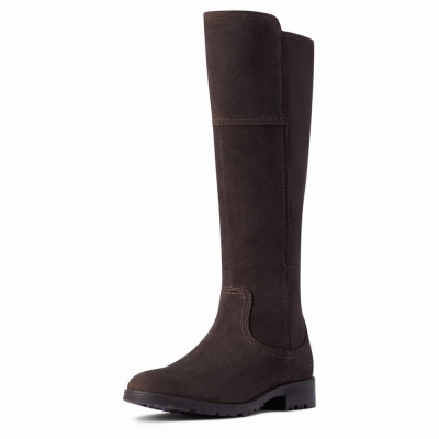 Chocolate Ariat Sutton II Waterproof Women's Dress Boots | LNUX85296