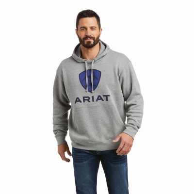 Deep Blue Ariat Basic Men's Hoodies | TPNX80293