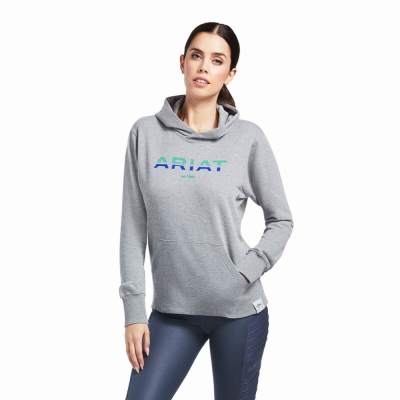 Grey Ariat 3D Logo 2.0 Women's Hoodies | FKXA53692