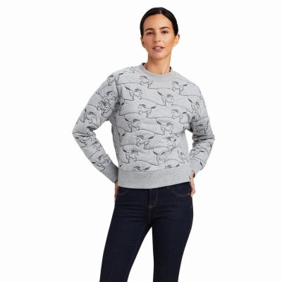 Grey Ariat Contour Equine Crew Women's Hoodies | IYAQ81937