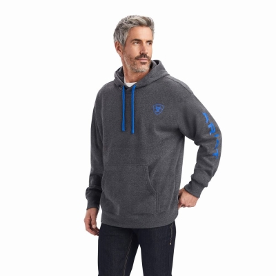 Grey Ariat Logo Men's Hoodies | PQRX06425