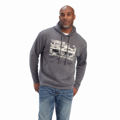 Grey Ariat Pastures Men's Hoodies | QUSV30496