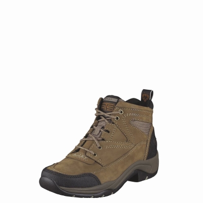 Grey Brown Ariat Terrain Women's Hiking Boots | YBJN26394