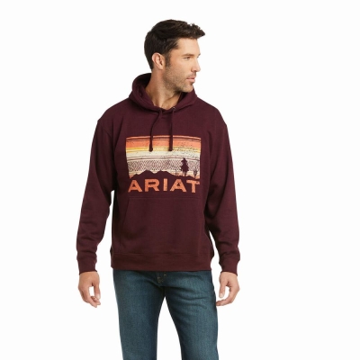 Multicolor Ariat Basic Men's Hoodies | OHYR01348