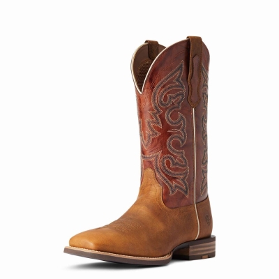 Multicolor Ariat Everlite Go Getter Men's Western Boots | JCNT46713