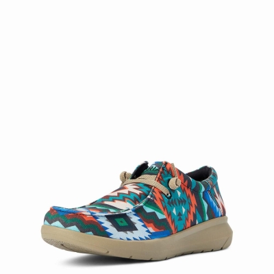 Multicolor Ariat Hilo Stretch Lace Men's Sneakers | FENH54307