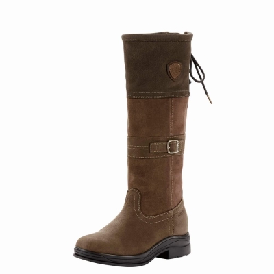 Multicolor Ariat Langdale Waterproof Women's English Riding Boots | KOZC06194