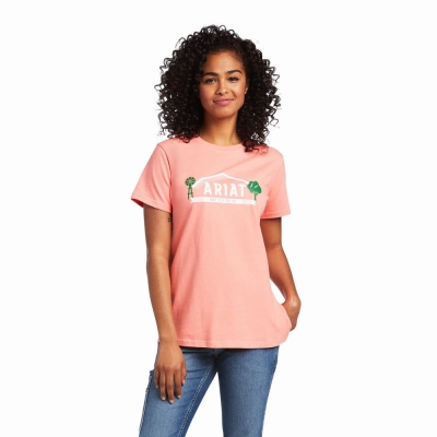 Multicolor Ariat Rebar Cotton Strong Farm Graphic Women's Tops | YNHF75639