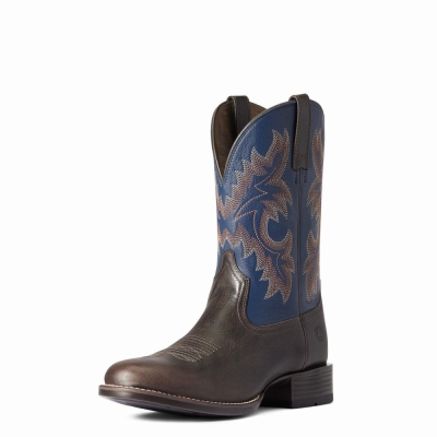 Multicolor Ariat Stockman Ultra Men's Western Boots | VBYI90657