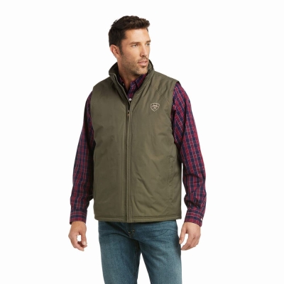 Multicolor Ariat Team Logo Insulated Men's Jackets | DQLM28513