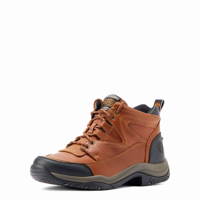 Multicolor Ariat Terrain Men's Hiking Boots | HYIB17094