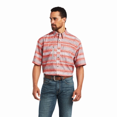 Multicolor Ariat VentTEK Classic Fit Men's Shirts | QHBS28159