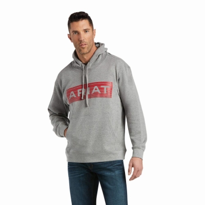 Orange Ariat Basic Men's Hoodies | TVCE76459