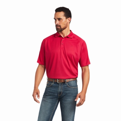 Pink Ariat AC Men's Polo Shirts | ZBIO19783