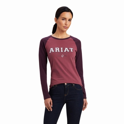 Pink Ariat Varsity Women's Tops | GXJR76458