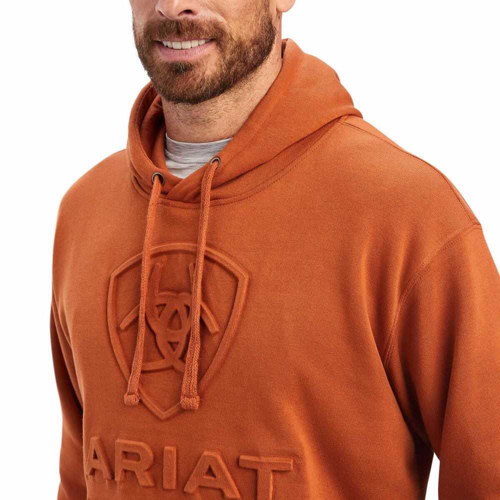 Beige Ariat Basic Men's Hoodies | ELFA02653