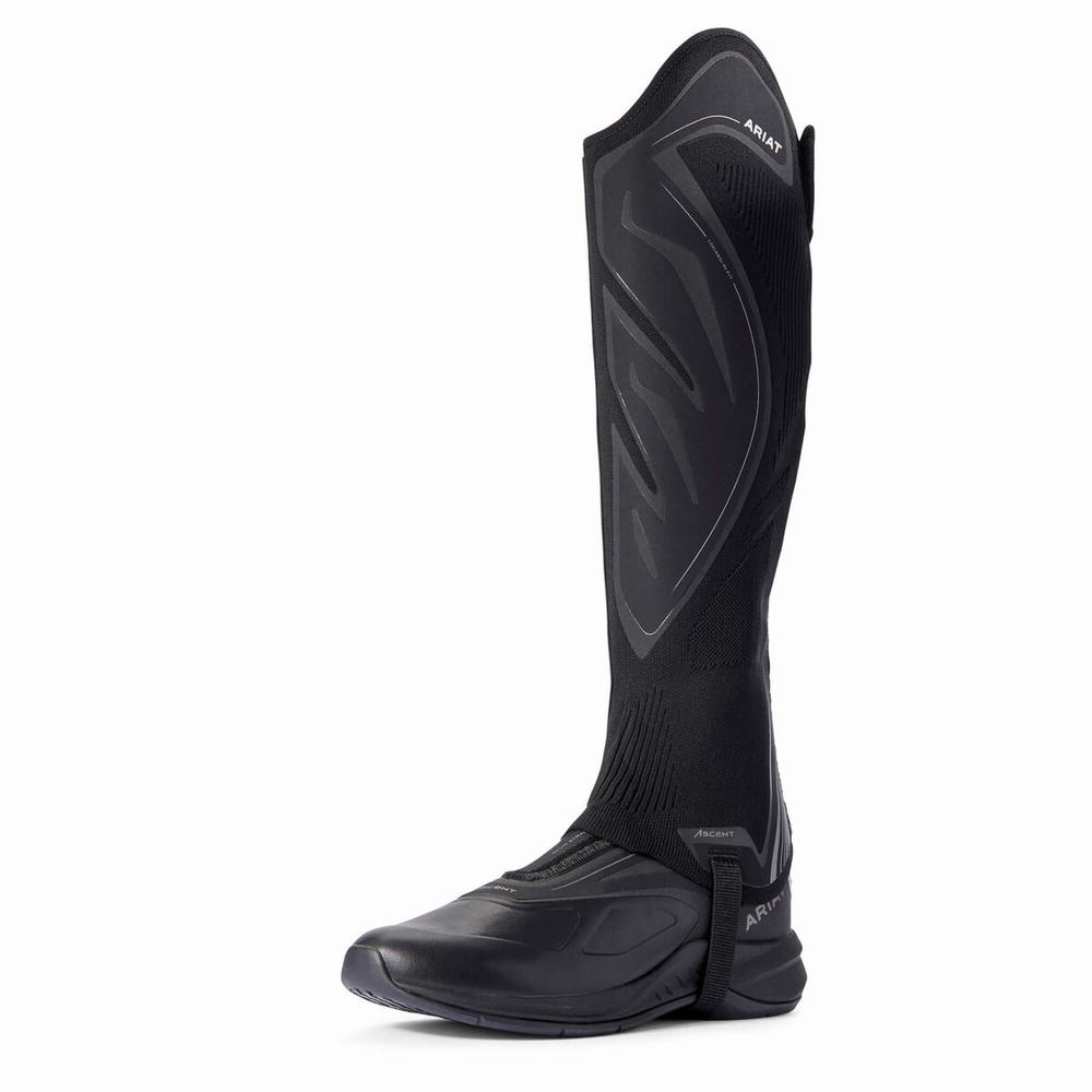 Black Ariat Ascent Half Chap Men's English Riding Boots | SVXW60598