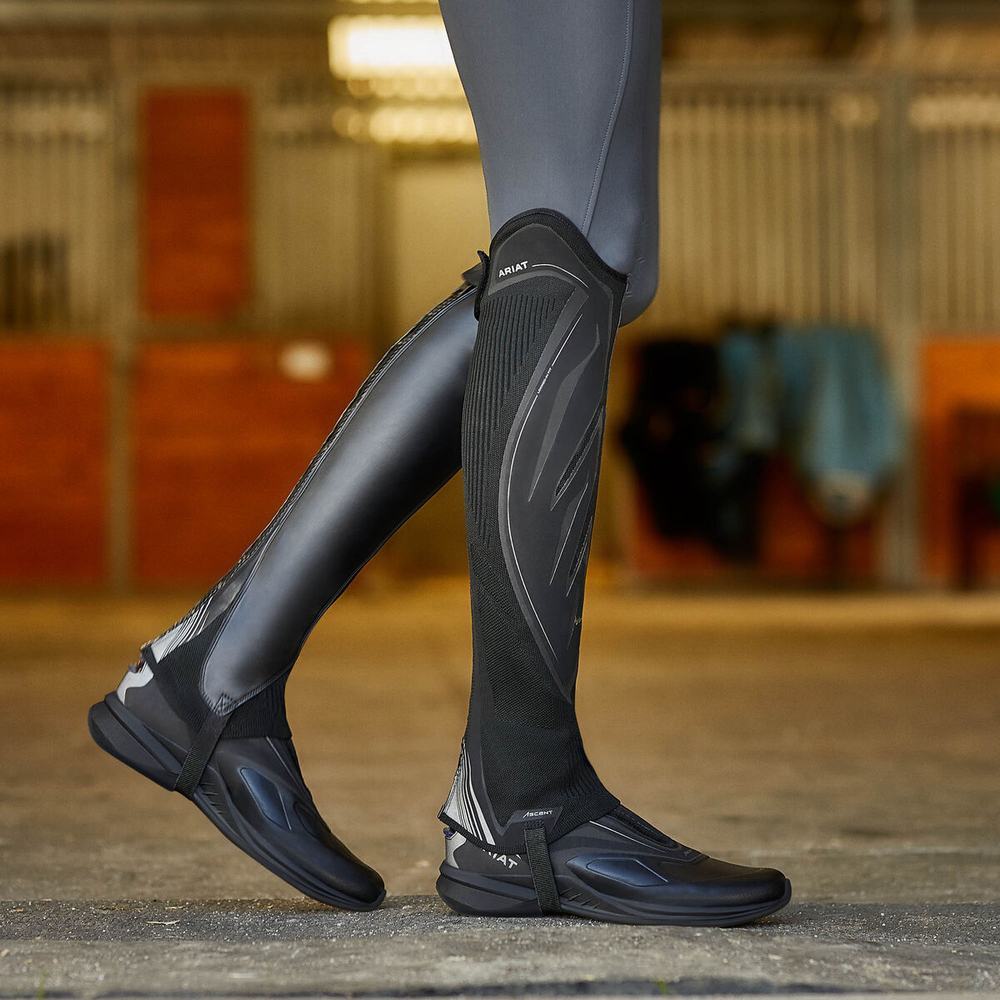 Black Ariat Ascent Half Chap Women's English Riding Boots | VGPY29143