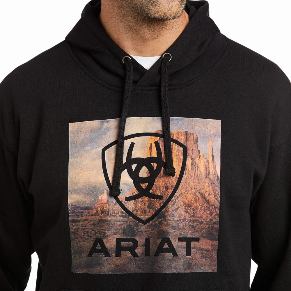 Black Ariat Basic Men's Hoodies | TPKZ53082