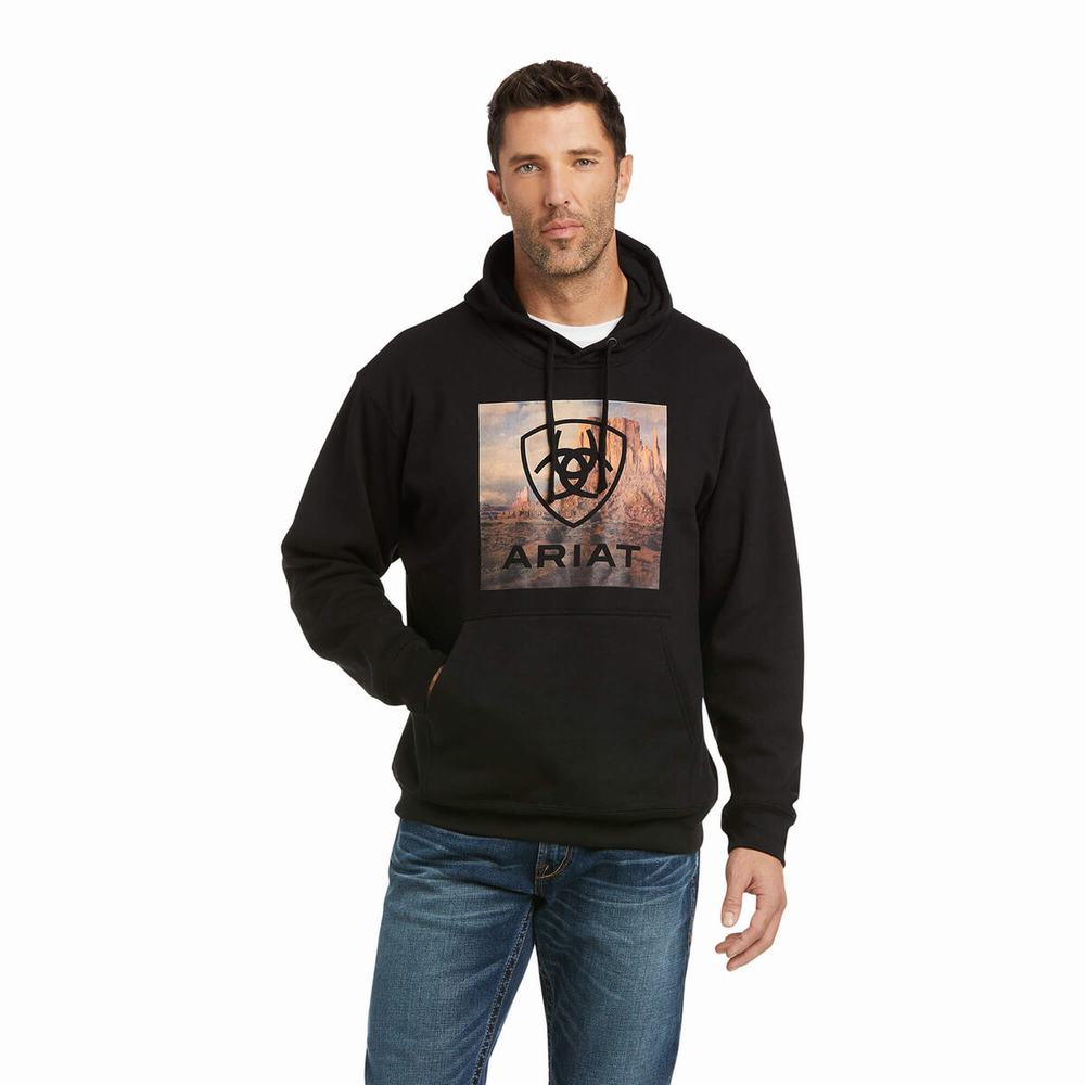 Black Ariat Basic Men\'s Hoodies | TPKZ53082