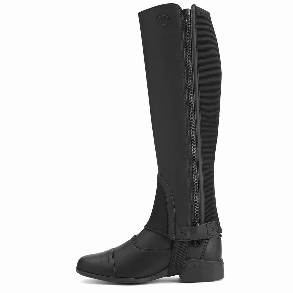 Black Ariat Scout Chap Half Chap Men's English Riding Boots | TDKE71304