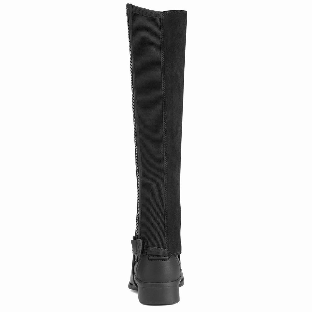 Black Ariat Scout Chap Half Chap Men's English Riding Boots | TDKE71304