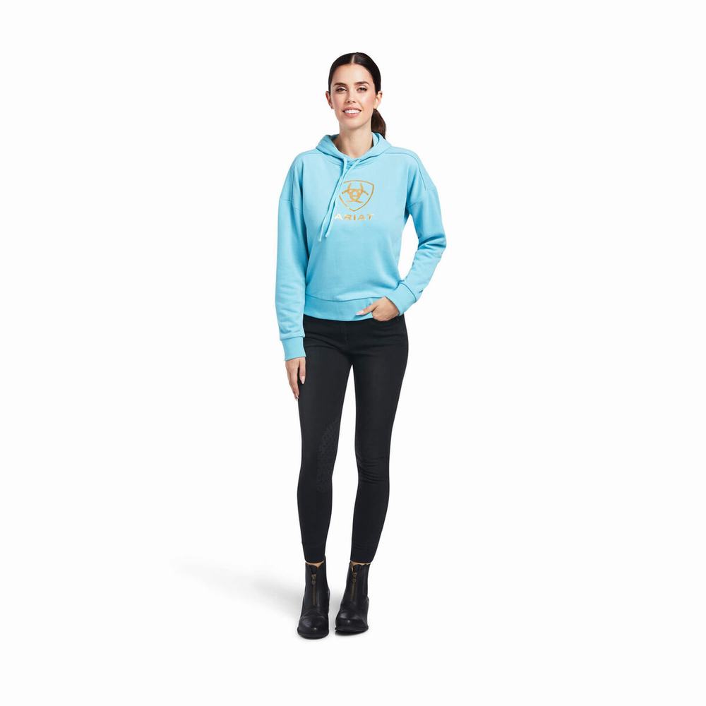 Blue Ariat Just Women's Hoodies | TMYI13420