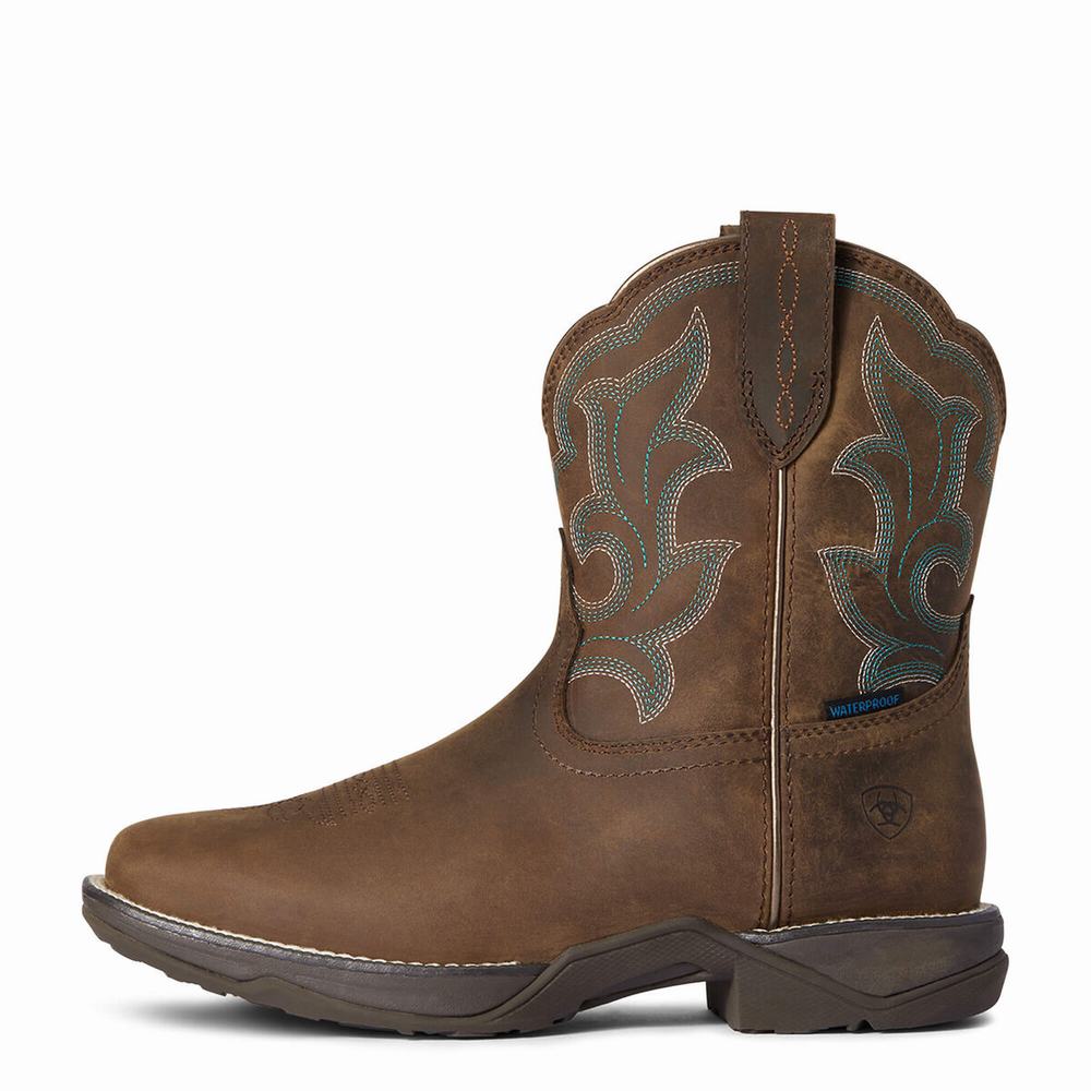 Brown Ariat Anthem II Waterproof Women's Waterproof Boots | DOSW37421