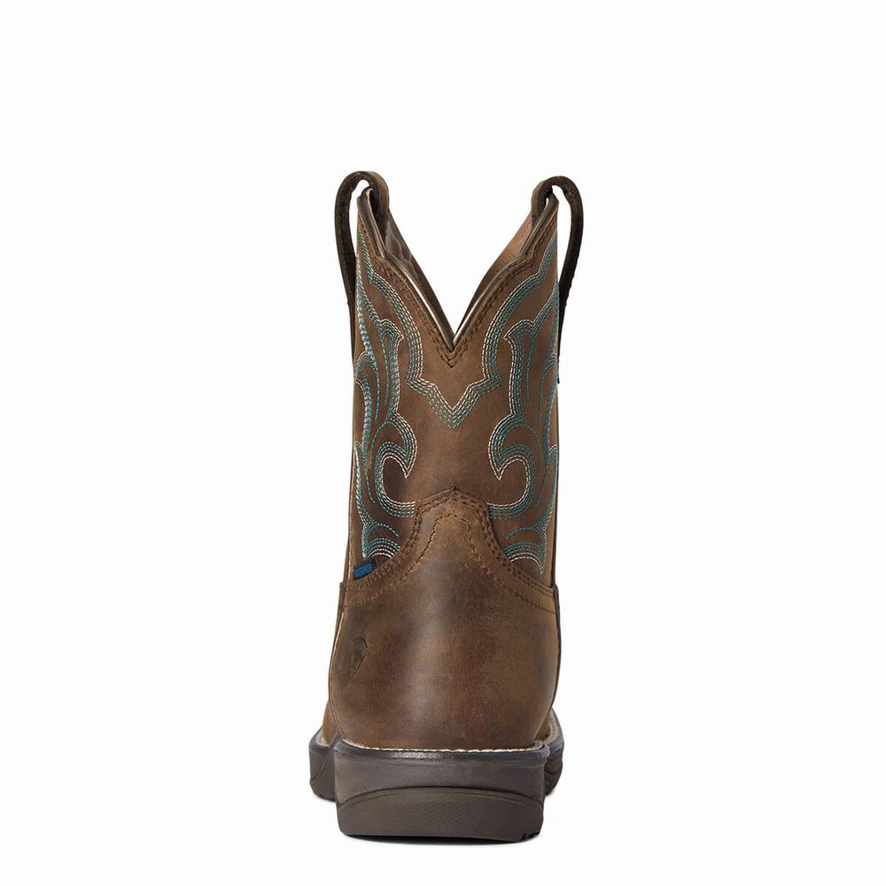 Brown Ariat Anthem II Waterproof Women's Waterproof Boots | DOSW37421