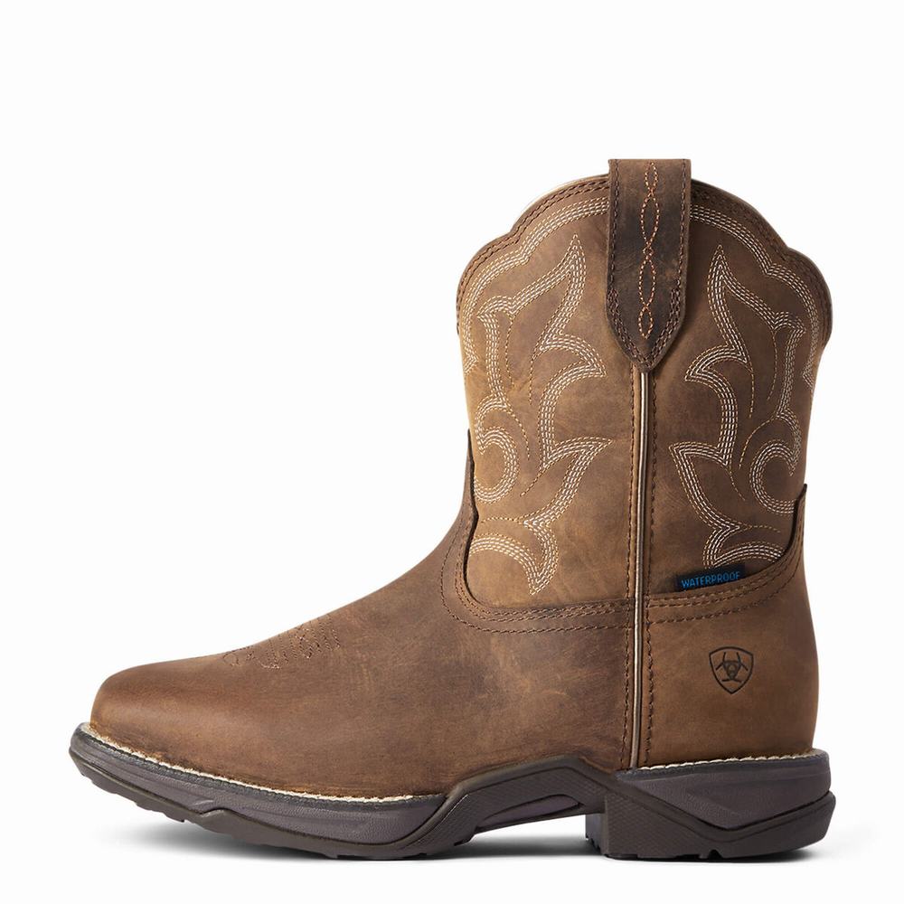 Brown Ariat Anthem II Waterproof Women's Waterproof Boots | FVXB51769