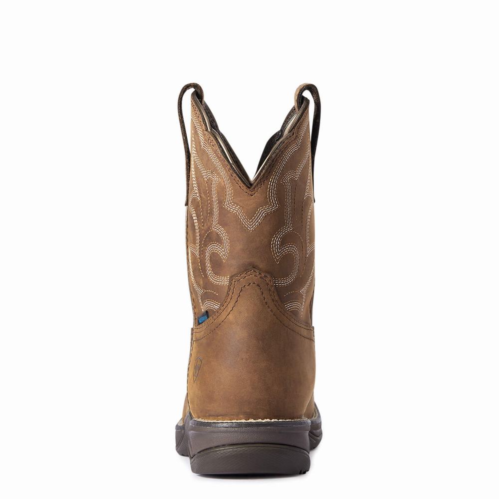 Brown Ariat Anthem II Waterproof Women's Waterproof Boots | FVXB51769