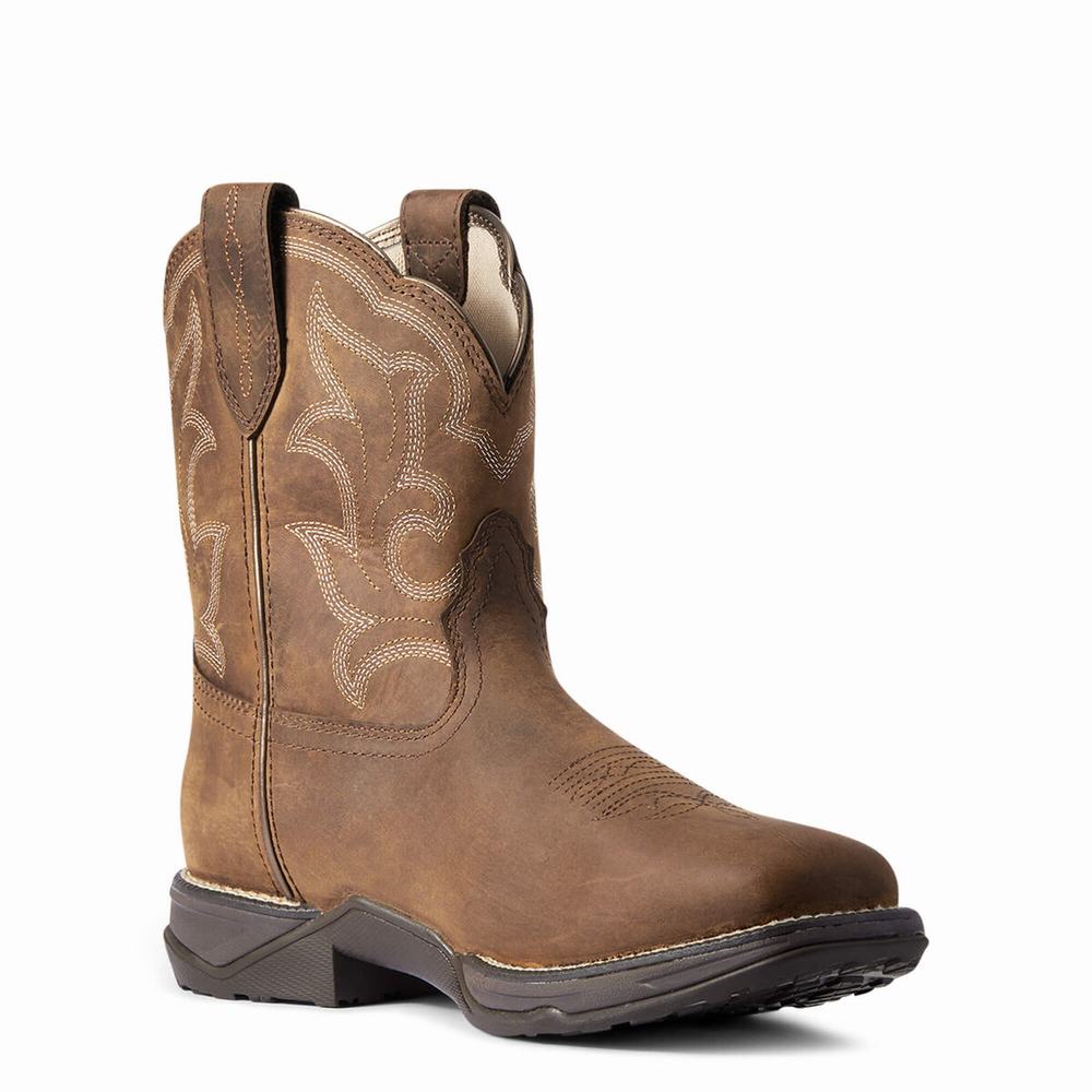 Brown Ariat Anthem II Waterproof Women's Waterproof Boots | FVXB51769