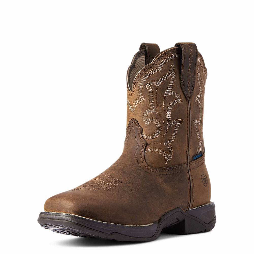 Brown Ariat Anthem II Waterproof Women\'s Waterproof Boots | FVXB51769