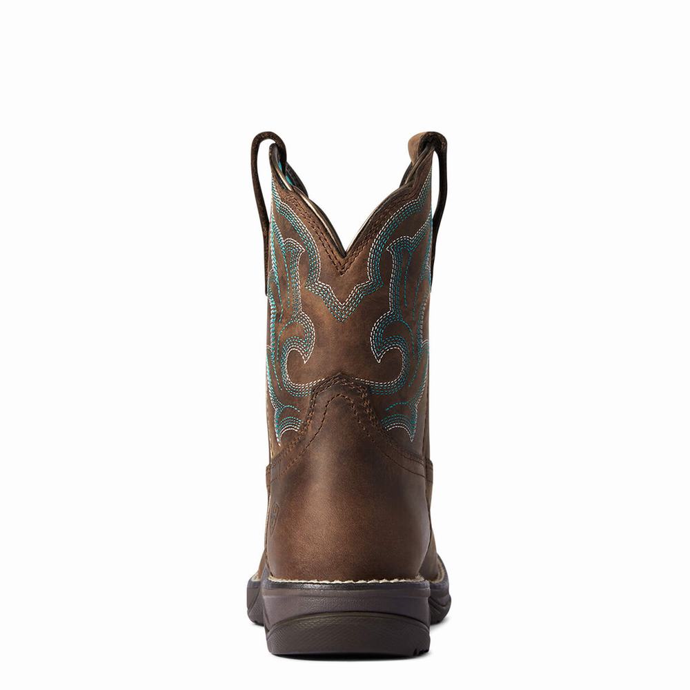 Brown Ariat Anthem II Women's Western Boots | JTQO51920