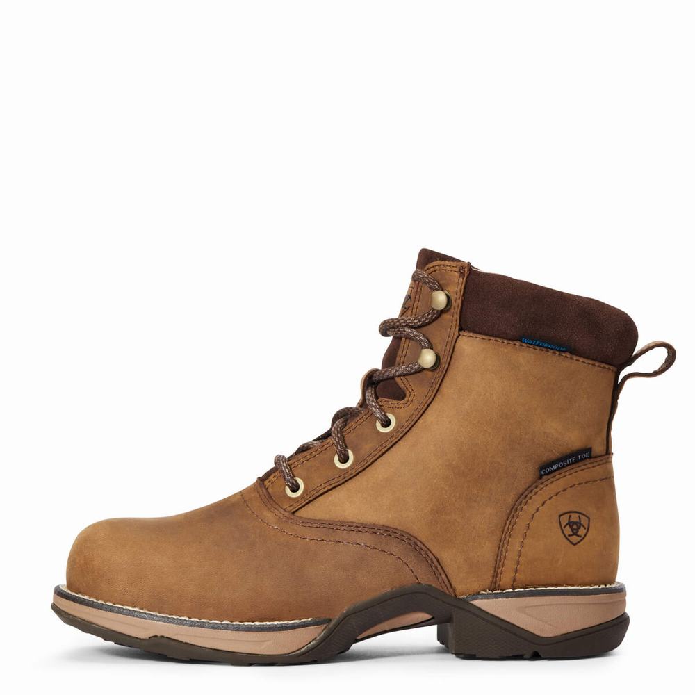 Brown Ariat Anthem Round Toe Lacer Waterproof Composite Toe Women's Work Boots | DZRN73120