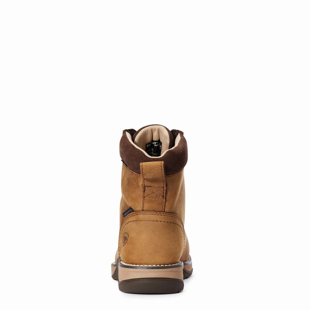 Brown Ariat Anthem Round Toe Lacer Waterproof Composite Toe Women's Work Boots | DZRN73120