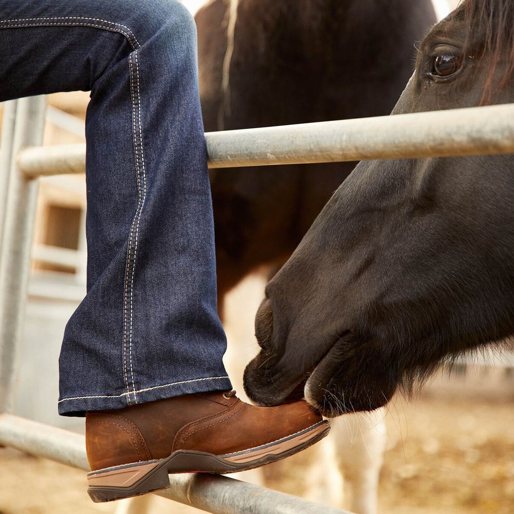 Brown Ariat Anthem Round Toe Lacer Waterproof Composite Toe Women's Work Boots | DZRN73120