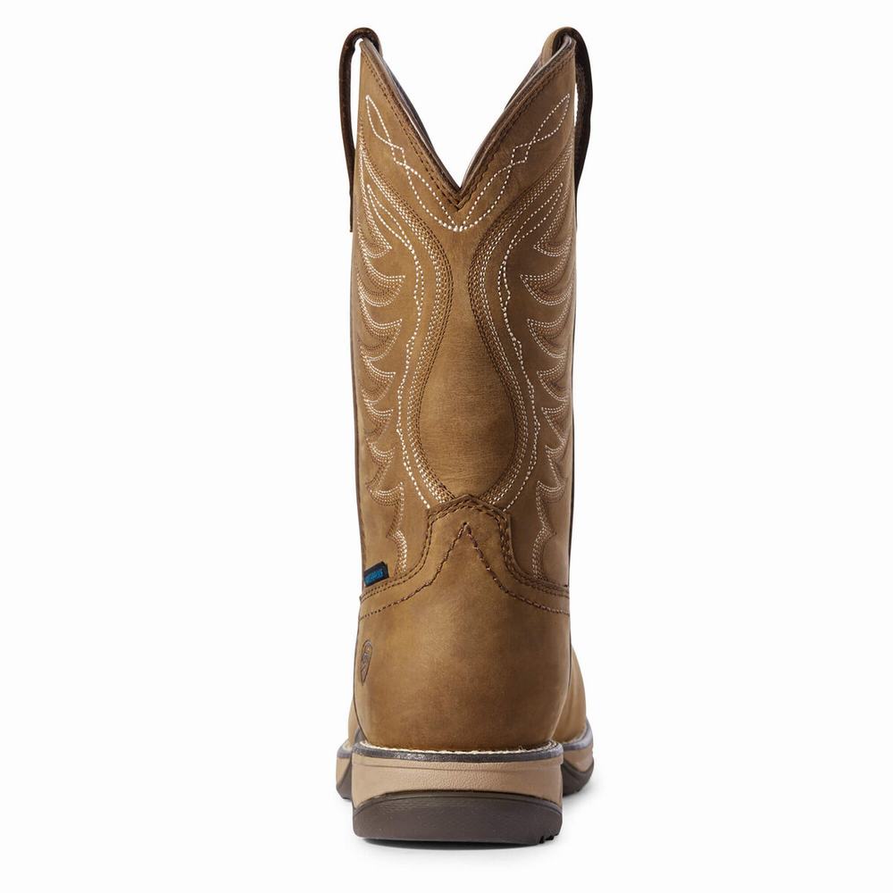 Brown Ariat Anthem Waterproof Composite Toe Women's Waterproof Boots | YJID31458