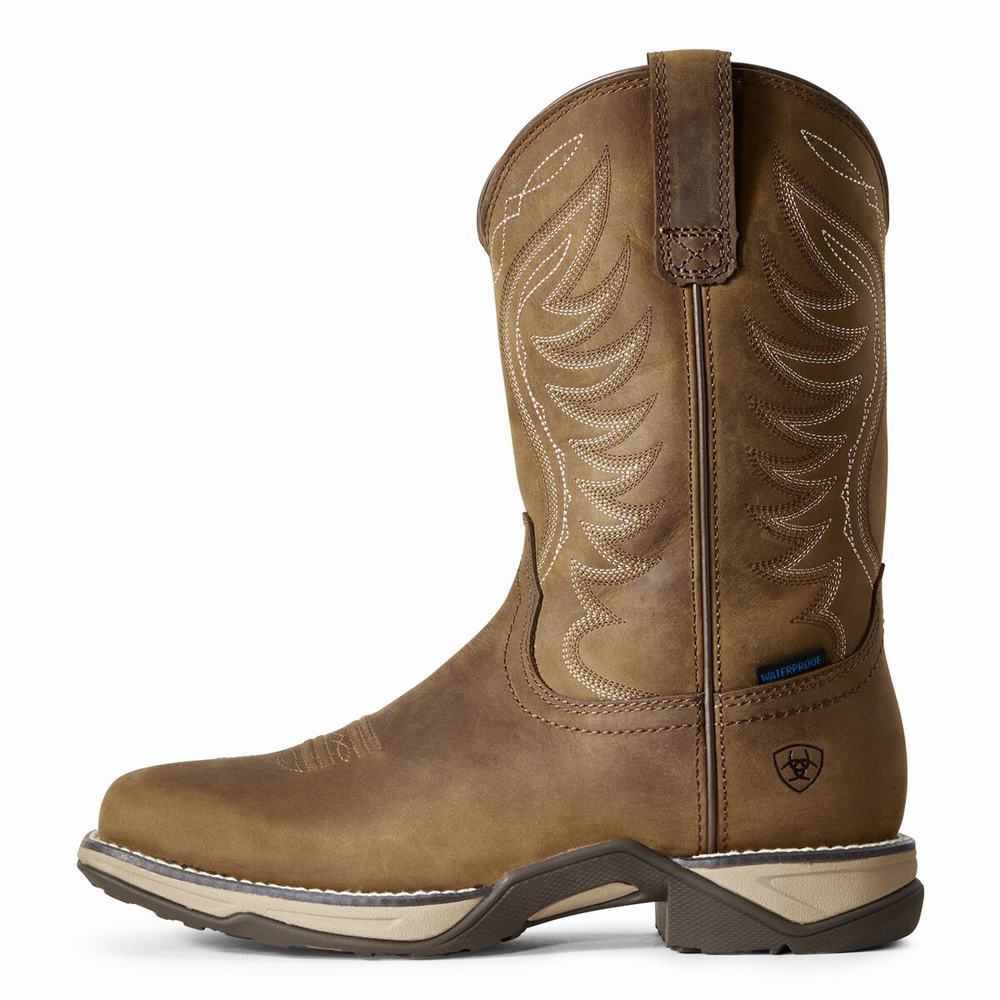 Brown Ariat Anthem Waterproof Women's Western Boots | ZFQJ58413