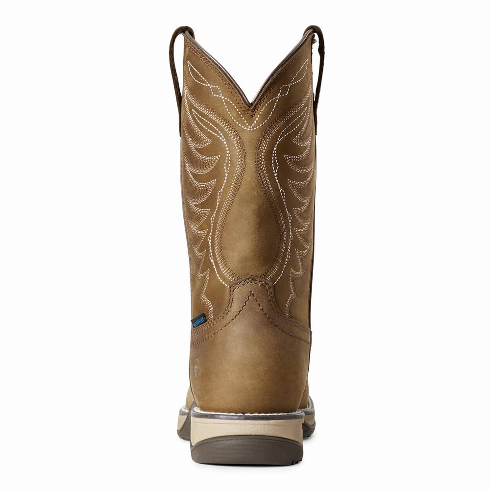 Brown Ariat Anthem Waterproof Women's Western Boots | ZFQJ58413