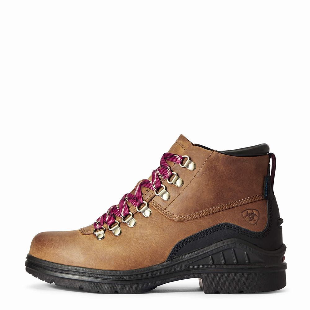 Brown Ariat Barnyard Lace Waterproof Women's Hiking Boots | LUOI45938