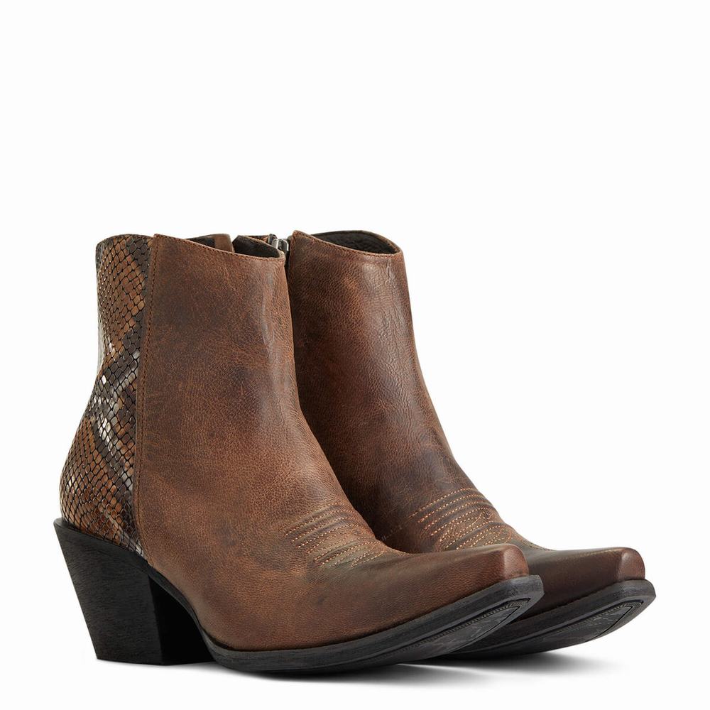 Brown Ariat Carmelita Women's Booties | LVPB61943