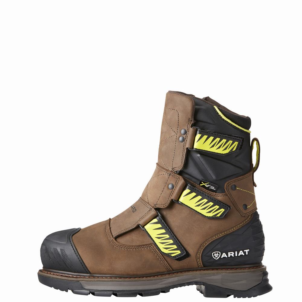 Brown Ariat Catalyst VX 8